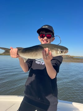 San Diego Bay Fly Fishing