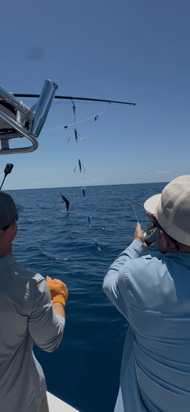 Costa Rica - Inshore 