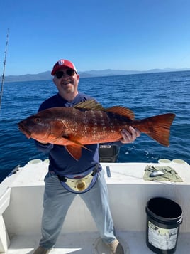 Incomunicado Sport Fishing