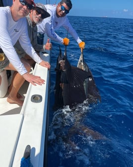 Sol De Oro Sport Fishing