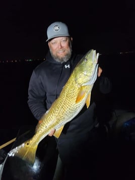 Bow Fishing & Gigging