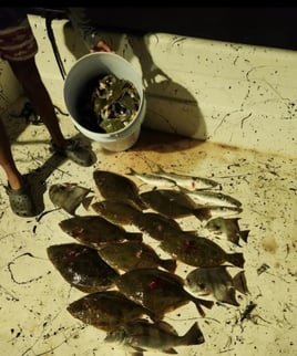 Bow Fishing & Gigging