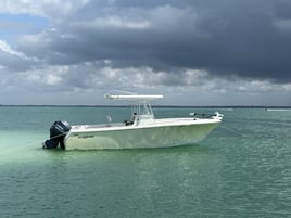 Nearshore Reef Spearfishing
