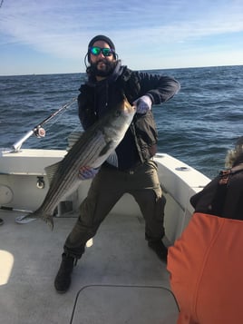 Fluke, Bluefish, & Stripers Fishing