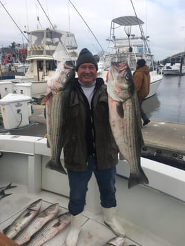 Fluke, Bluefish, & Stripers Fishing