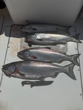 4 Hour Fishing Trip