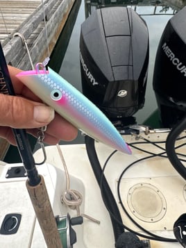 4 Hour Fishing Trip