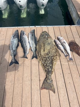 Offshore Halibut/Groundfish