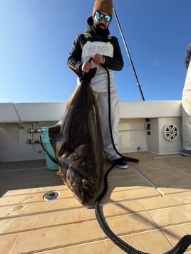 Offshore Halibut/Groundfish