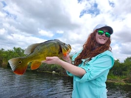 South Florida Everglades