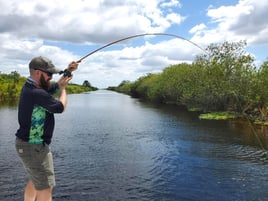 South Florida Everglades