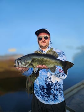 South Florida Everglades