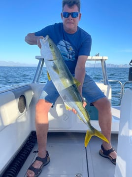 False Bay Inshore Trips 
