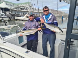 False Bay Inshore Trips 