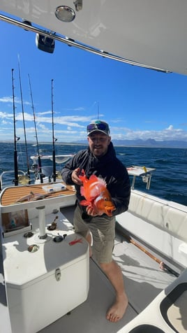 False Bay Inshore Trips 