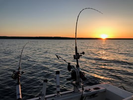 Half And Full Finger Lakes Trolling