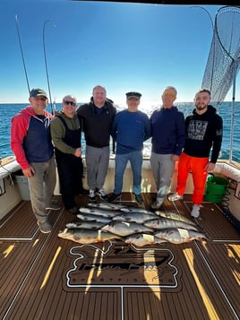 8 Hour Lake Trout Extravaganza!!!