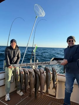 8 Hour Lake Trout Extravaganza!!!