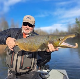 4-8 Hour Fishing Trip 
