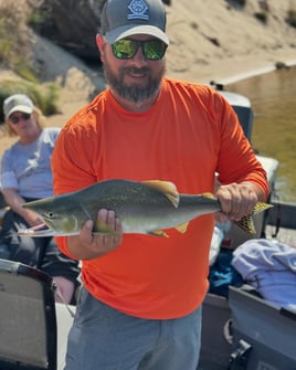 4-8 Hour Fishing Trip 