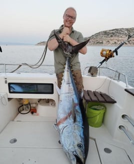Half Day Or Fulld Day Tuna Fishing