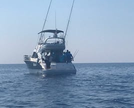 Dalmatia Fishing Trip