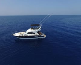 Dalmatia Fishing Trip