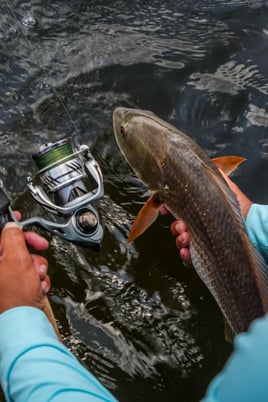3/4 Day Fishing Charter