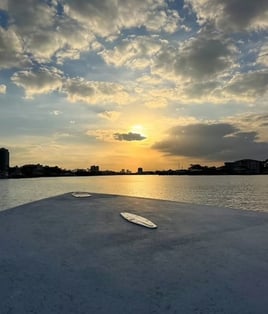 Private Cruises