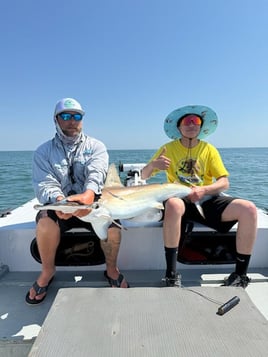 Shark Fishing