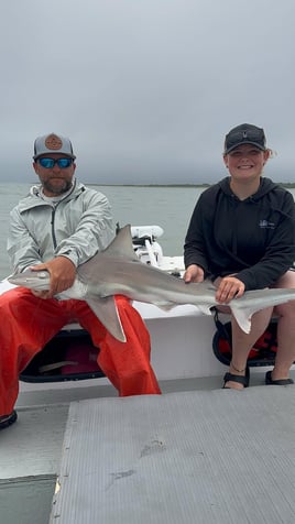 Shark Fishing