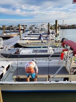 Shark Fishing
