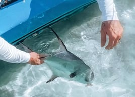 4-8 Hours Fishing Trip