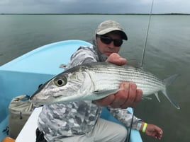 Caye Caulker On The Fly