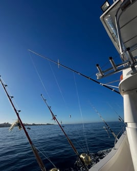 Adriatic Fishing Trip