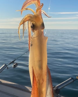 Adriatic Fishing Trip