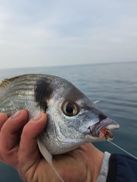 Adriatic Fishing Trip