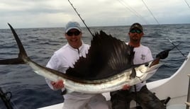 1/2, 3/4, Full Gulf Stream Fishing