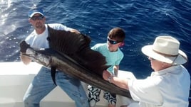 1/2, 3/4, Full Gulf Stream Fishing