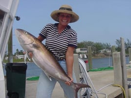 1/2, 3/4, Full Gulf Stream Fishing
