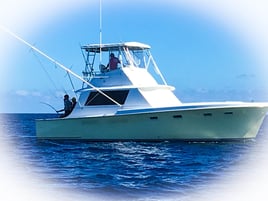 1/2, 3/4, Full Gulf Stream Fishing