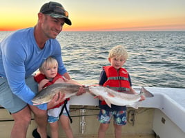 Inshore Evening Red Drum