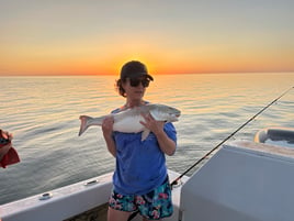 Inshore Evening Red Drum