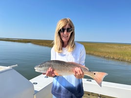 Inshore Evening Red Drum