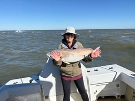 Inshore Evening Red Drum