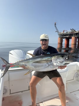 Epic Yellowfin Tuna Trip N Gulf