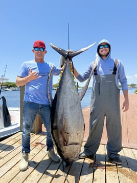 Epic Yellowfin Tuna Trip N Gulf