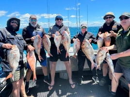 Full Day Fishing