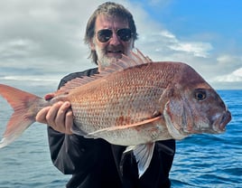 Full Day Fishing