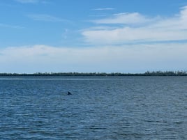 Captiva Shelling & Sightseeing 